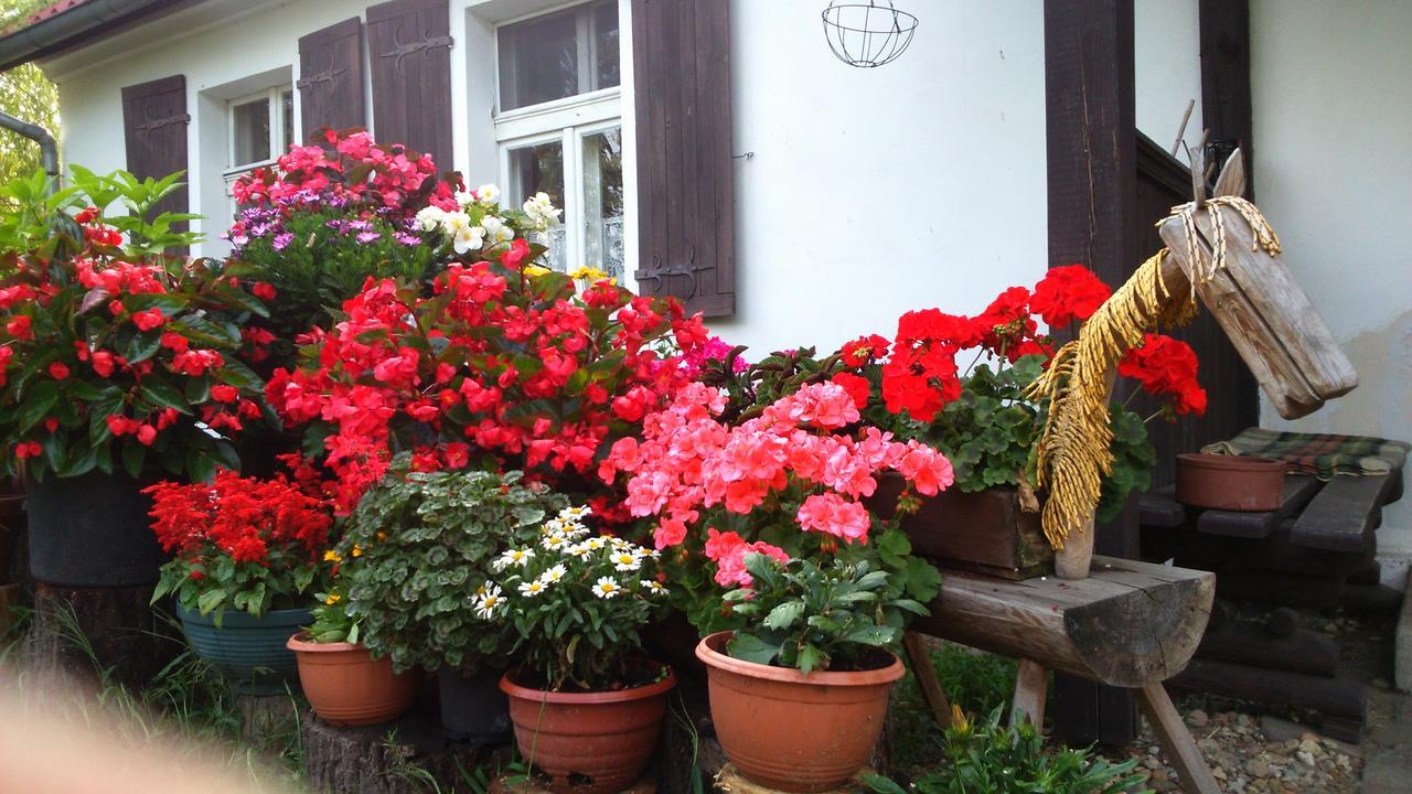 Zajazd Bonanza Jedrzychowice  Exterior photo